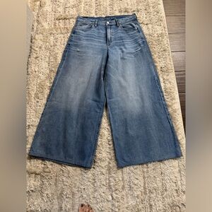 American Eagle Outfitters Blue Flare Jeans